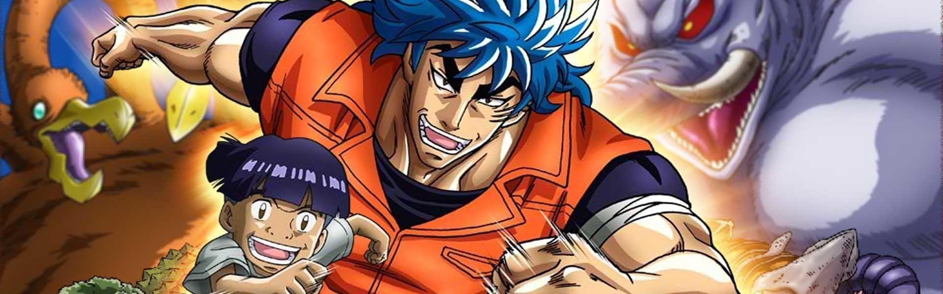 TORIKO - ANIME COMPLETO - LEGENDADO